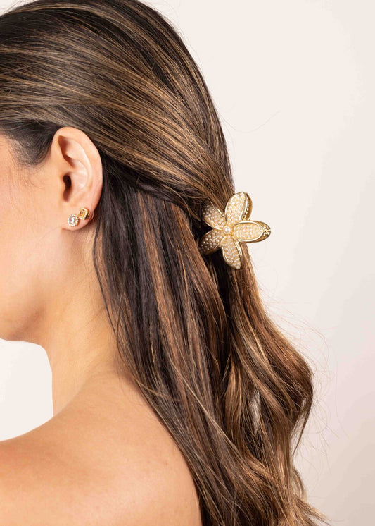 Piranha Flor de Pérolas