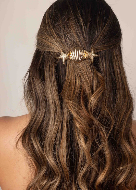 Presilha Concha e Estrela do Mar Dourada