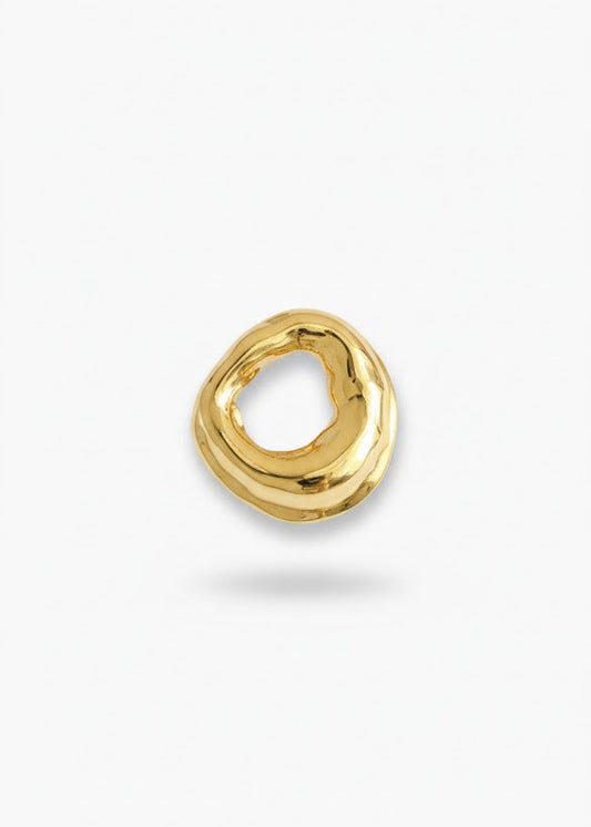 Broche Orgânico Vazado