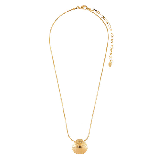 Colar Concha Dourado