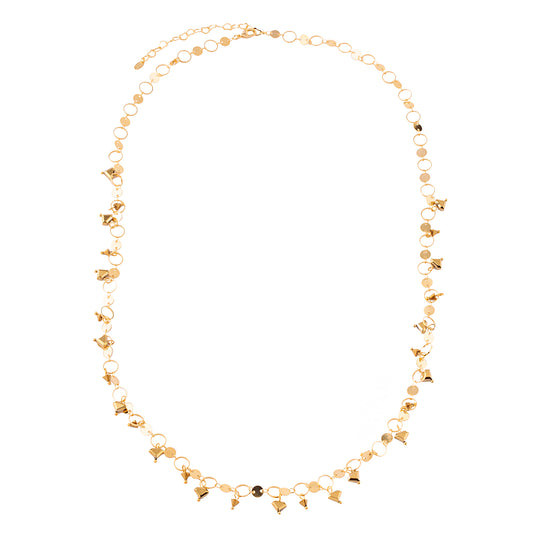 Colar Longo Argolas e Medalhas Dourado