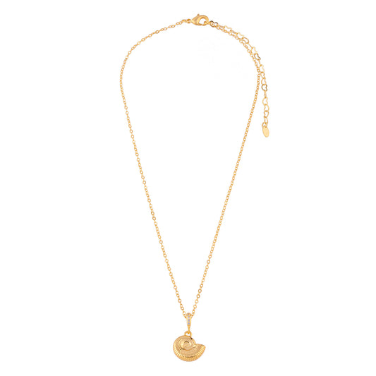 Colar Pingente Caramujo Dourado
