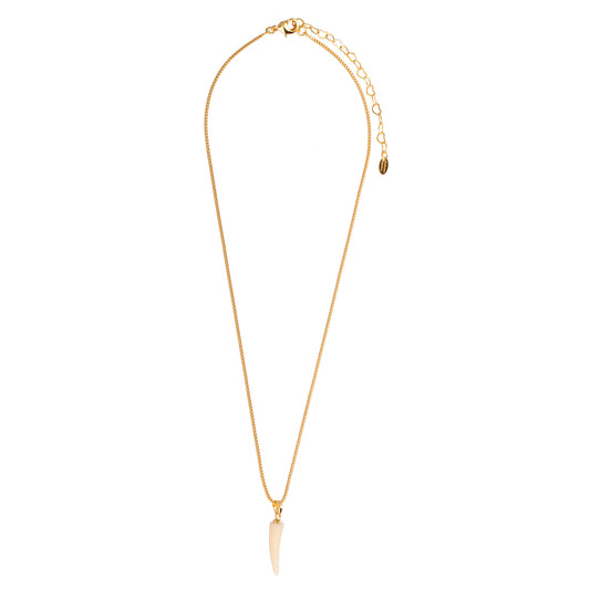 Colar Corrente Fina Pingente Dente Dourado