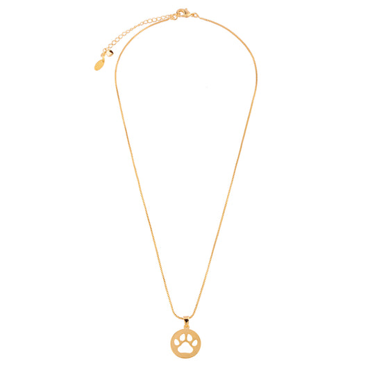 Colar Medalha Patinha Pet Dourado