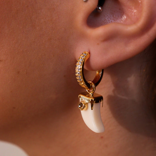 Brinco Argola Cravejada com Dente Creme Dourado