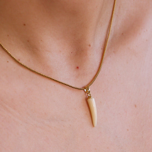 Colar Corrente Fina Pingente Dente Dourado