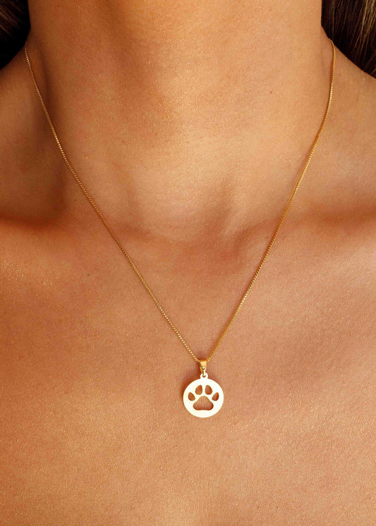 Colar Medalha Patinha Pet Dourado