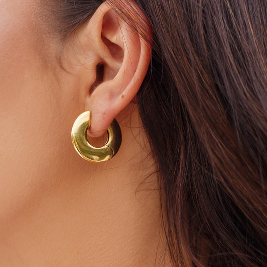 Brinco Argola Redonda Lisa P Dourado