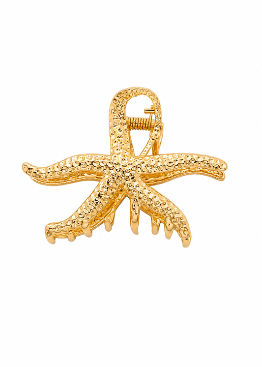 Piranha de Cabelo Pequena Estrela Dourado