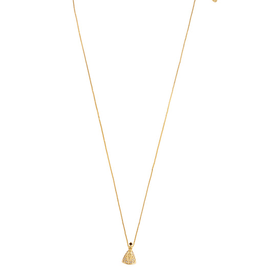 Colar Nossa Senhora Aparecida Cravejado Dourado