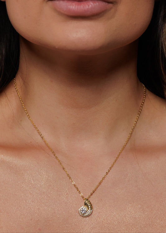 Colar Dourado Concha Cravejada